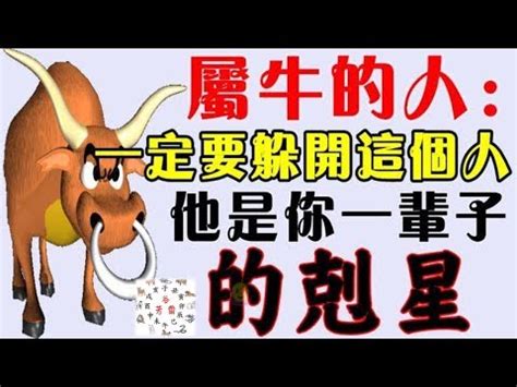 屬牛三合貴人|十二生肖三合貴人、六合貴人